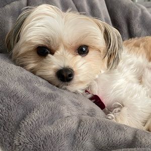 Meet your Posher, Kendra